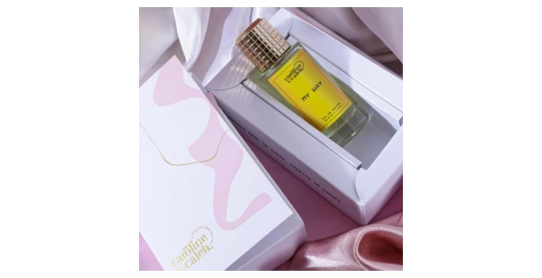 Stronic Publication 8