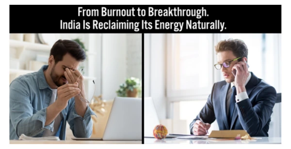 Malook Sudh Shilajit