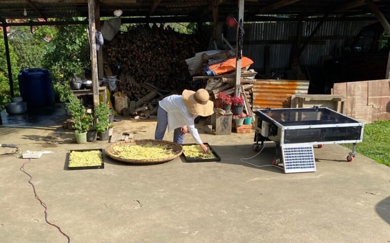 WhatsApp Image 2026-01-08 at 2.38.16 PM