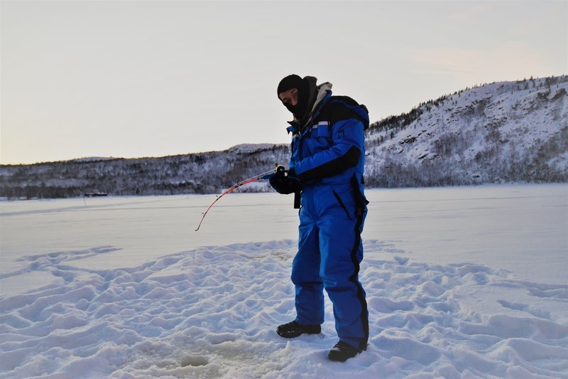Overview of ice fishing game online